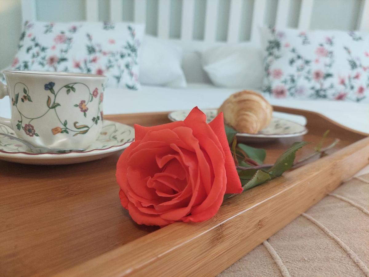Ivana Apartament