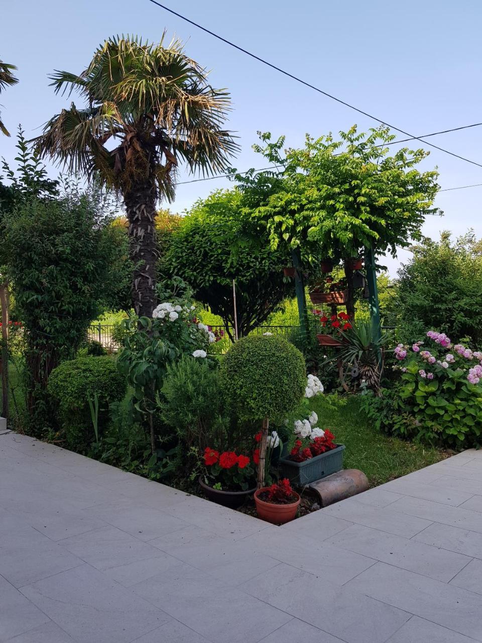 Ivana * Labin (Istria)